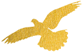640.png