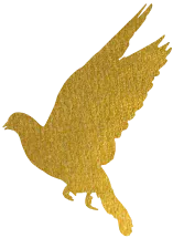 640 (2).png